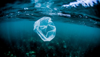 White Flag Self-Sustainable Ocean Cleaning System