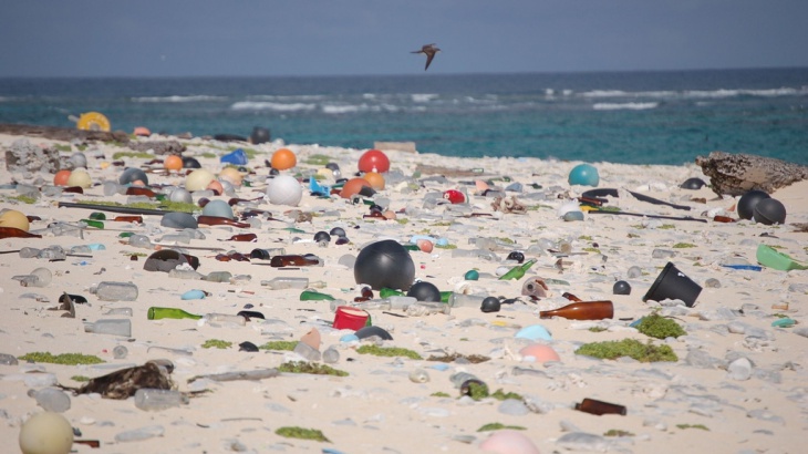 Certified Wild Marine Areas