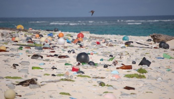 Ocean Impact